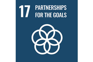 SDG 17 Icon. 