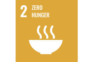 Zero Hunger Icon. 