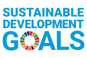 SDG Logo. 