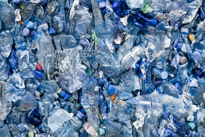 Pile of plastic bottles. 