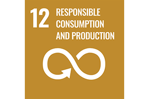 SDG 12 Icon. 
