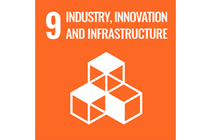 SDG 9 logo. 