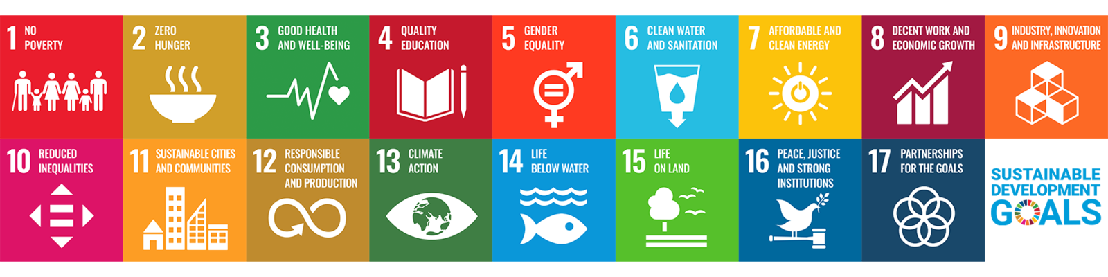 SDG Icons banner. 