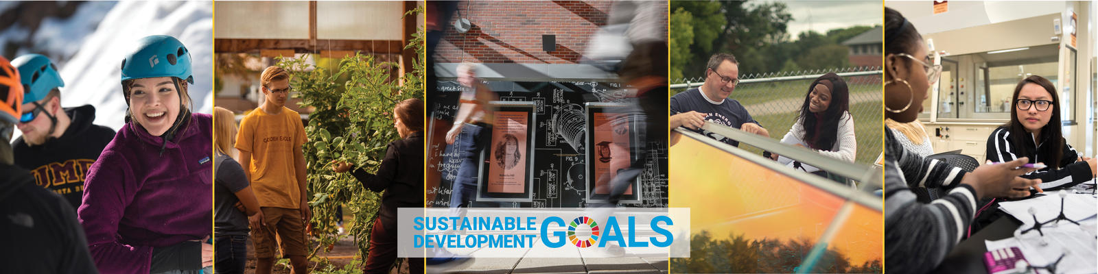 1 image from each UMN campus with SDG logo. 