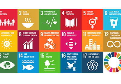 SDG Icons. 