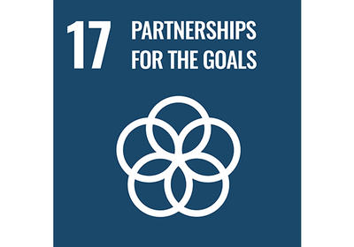 SDG 17 Icon. 