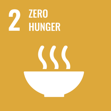 SDG#2 Zero Hunger Icon