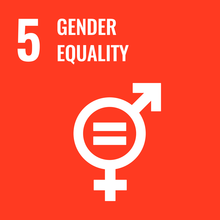 SDG#5 Gender Equality Icon