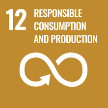 SDG#12 Responsible Consumption and Production Icon