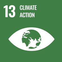 SDG#13 Climate Action Icon