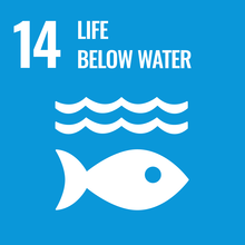 SDG#14 Life Below Water Icon