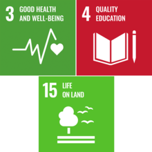 SDG Icons 3,4 and 15. 
