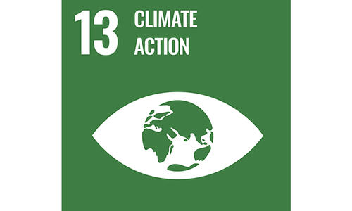 SDG 13 Icon. 